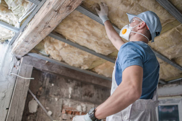 Reliable Shannon Hills, AR Insulation Contractor Solutions